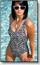 Black & White Zebra