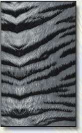  Black Tiger