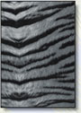 f09s.jpg