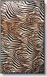 Gold Zebra
