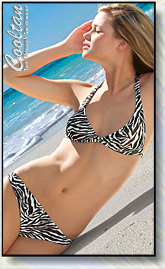 Black & White Zebra
